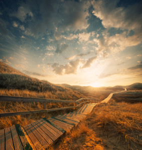 iStock_000020417924_Small